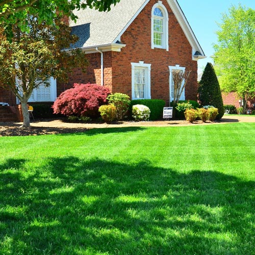 Landscaping